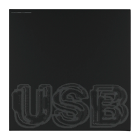 Fred Again.. - USB (Limited Vinyl Edition)