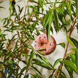 Sage & Clare Chaitali Donut Decoration