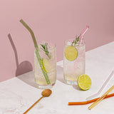 Sucker Reusable Glass Drinking Straws - Multi-colour